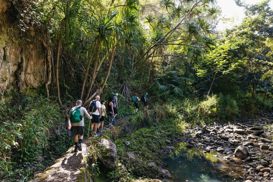 Maui: Rainforest Waterfalls Guided Hike with Picnic Lunch - Is $187 a fair price?