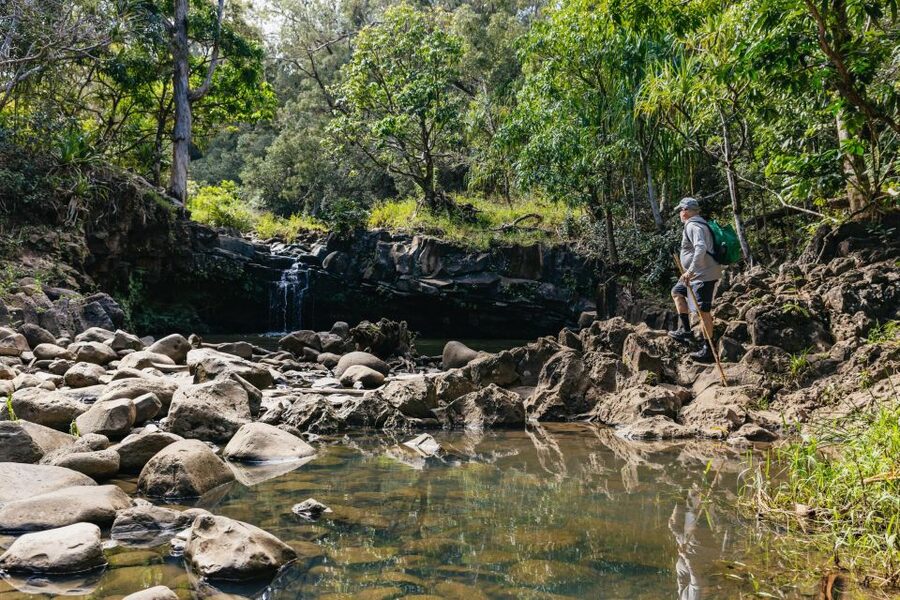 Maui: Rainforest Waterfalls Guided Hike with Picnic Lunch - Who will enjoy this most?