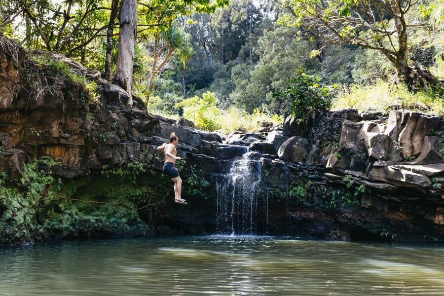 Maui: Rainforest Waterfalls Guided Hike with Picnic Lunch - Following two streams through East Maui