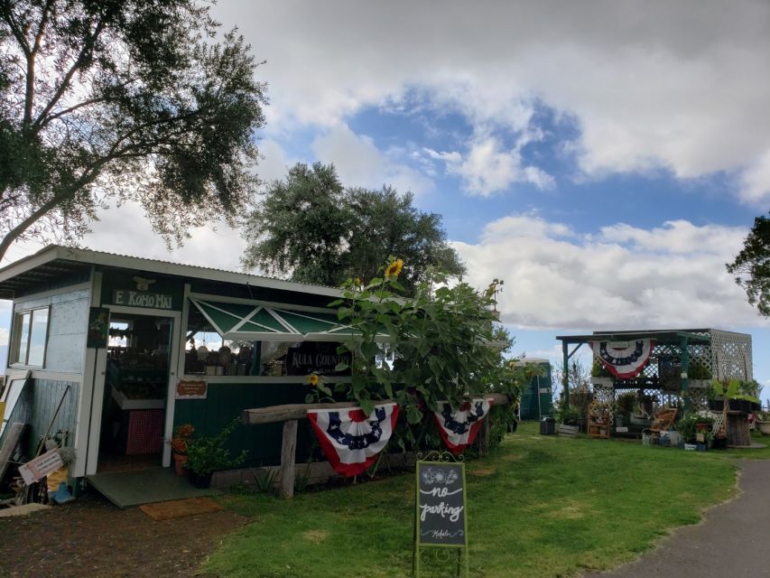 Maui: Road to Hana Adventure with Breakfast & Lunch - Why the Road to Hana works better with a guide