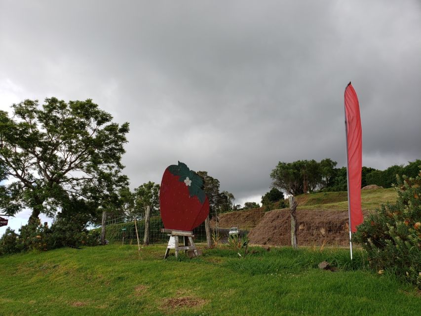 Maui: Road to Hana Adventure with Breakfast & Lunch - Hana Farms adds a local shopping option