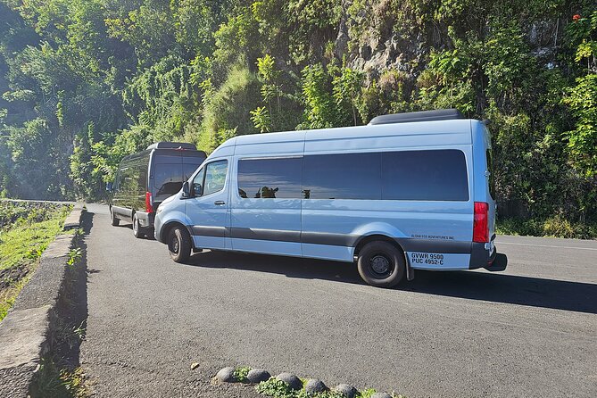 Maui: Road to Hana Adventure with Farm to Table Lunch - Wai‘anapanapa and Maui’s black sand coast