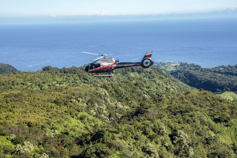 Maui: Road to Hana Helicopter & Waterfall Tour with Landing - What the rainforest stop is like