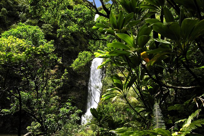 Maui: Road to Hana Luxury Limo-Van Tour with Helicopter Flight - The helicopter return changes the whole view of Maui