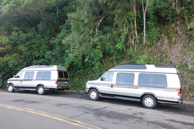 Maui: Road to Hana Luxury Limo-Van Tour with Helicopter Flight - How the guides shape the day