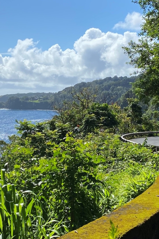 Maui: Road to Hana Private Adventure Tour with Luxury SUV - Wailua Falls and the first chance to swim