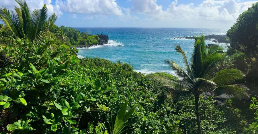 Maui: Road to Hana Sightseeing Tour - Why the Road to Hana works best with a guide