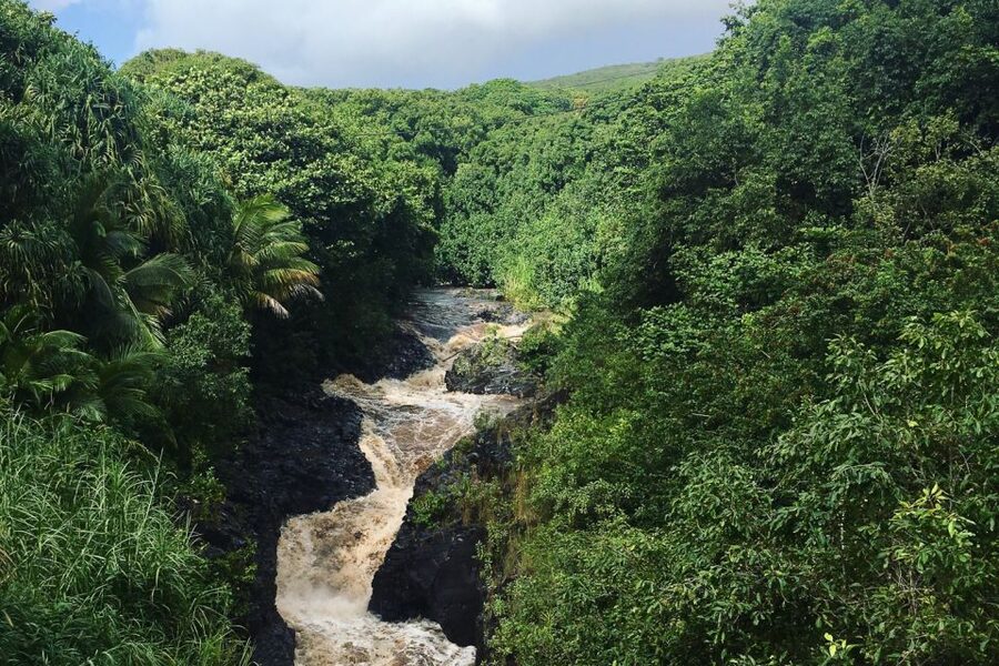 Maui: Road to Hana Sightseeing Tour - Waianapanapa State Park and Maui’s black sand