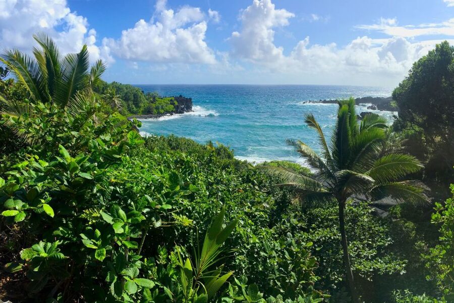 Maui: Road to Hana Sightseeing Tour - Hana Bay and the return along the coast