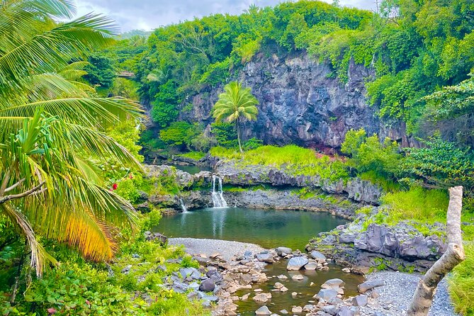 Maui Road to Hana VIP Private Tour in Convertible Bronco or Jeep - Ke’anae Arboretum, a gentle first walk