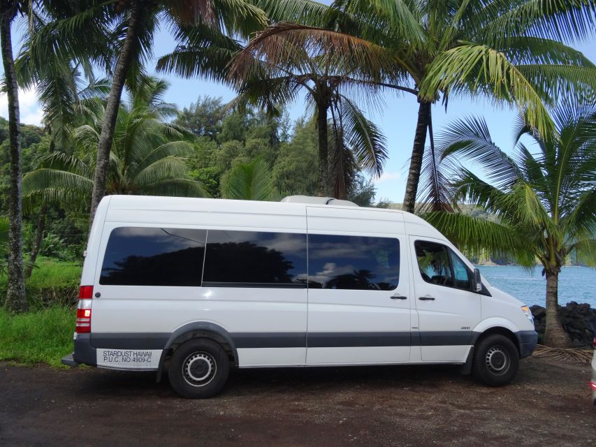 Maui: Road to Hana Waterfalls Tour with Lunch - Wailua Falls gives you a short waterfall stop