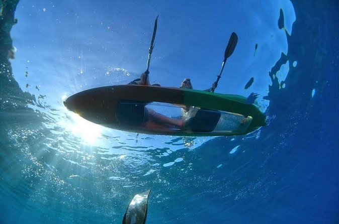 Maui's Only Clear Bottom Kayak Rental (priced per tandem kayak) - Tandem kayaking and the weight limit