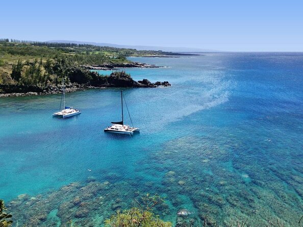 Maui Scuba Diving Introductory Lesson from Lahaina - Key things to know before booking