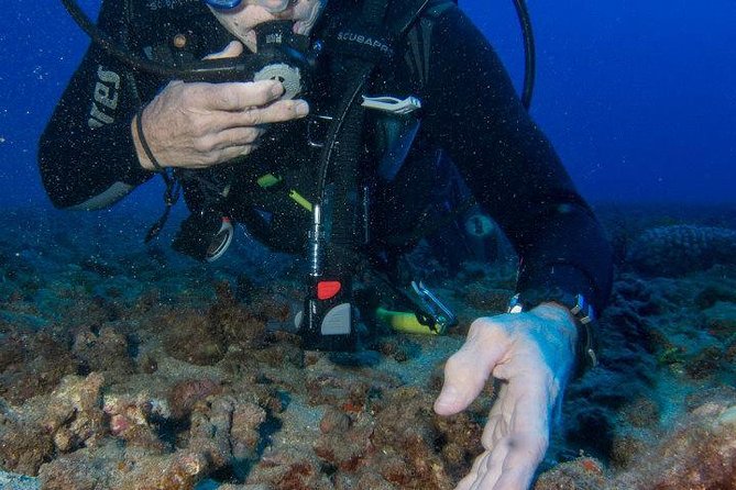 Maui Scuba Diving Introductory Lesson from Lahaina - What this Maui scuba lesson is really like