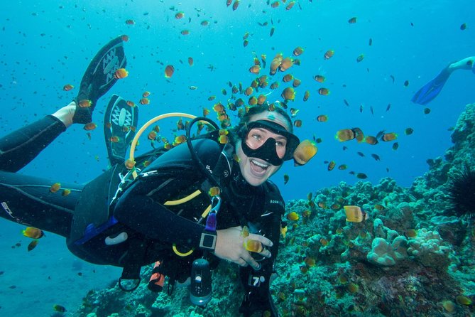 Maui Scuba Diving Introductory Lesson from Lahaina - The 45-minute lesson at Extended Horizons