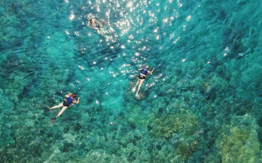 Maui: Semi-Private 3 Hour Eco-Raft Turtle Snorkel Tour - Key points to know before booking