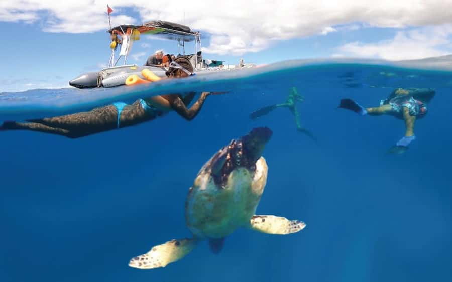 Maui: Semi-Private 3 Hour Eco-Raft Turtle Snorkel Tour - Why the small eco-raft matters