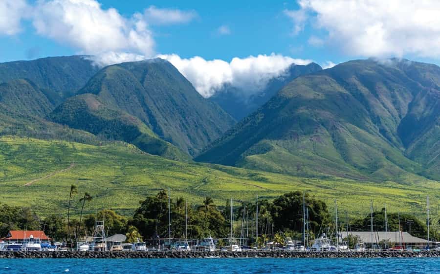 Maui: Semi-Private 3 Hour Eco-Raft Turtle Snorkel Tour - A good choice for families and beginners