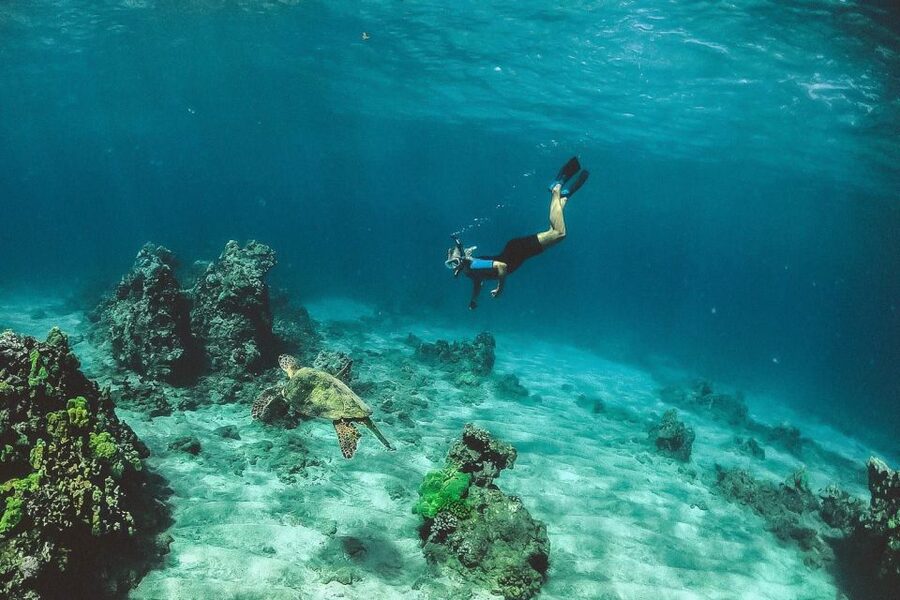 Maui: Semi-Private 3 Hour Eco-Raft Turtle Snorkel Tour - The value of $159 per person