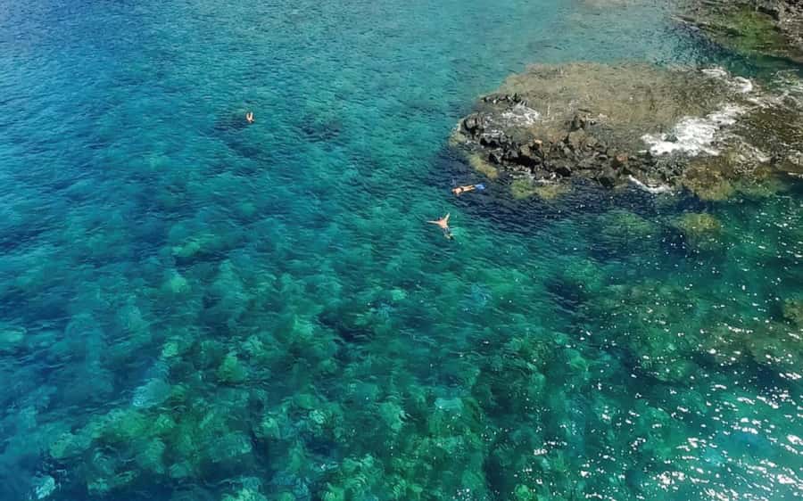 Maui: Semi-Private Eco-Raft Lanai Snorkel & Dolphin Tour - Key points at a glance
