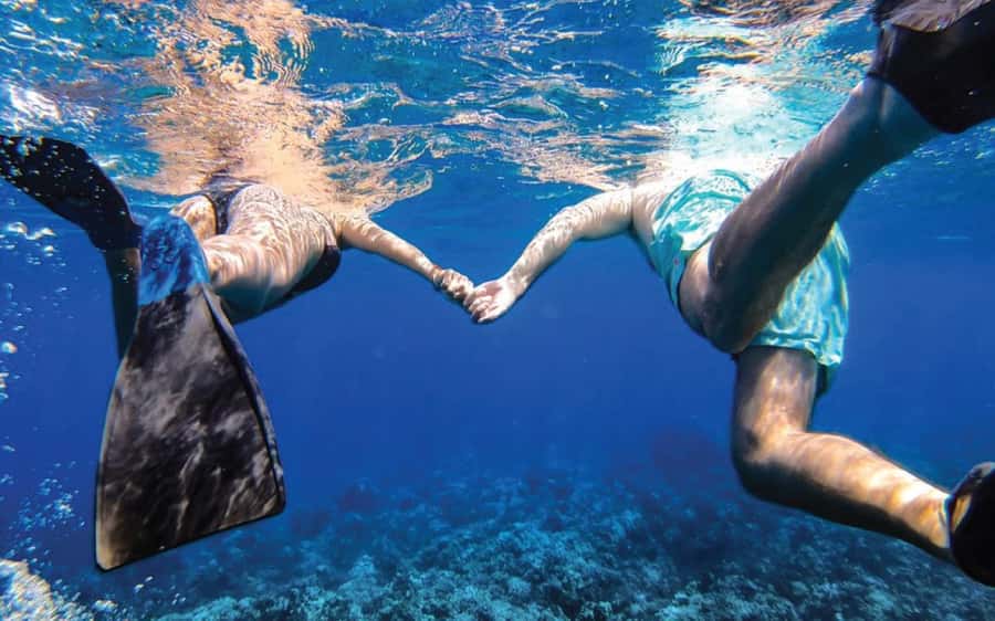 Maui: Semi-Private Eco-Raft Lanai Snorkel & Dolphin Tour - Wildlife watching: dolphins, turtles, and winter whales