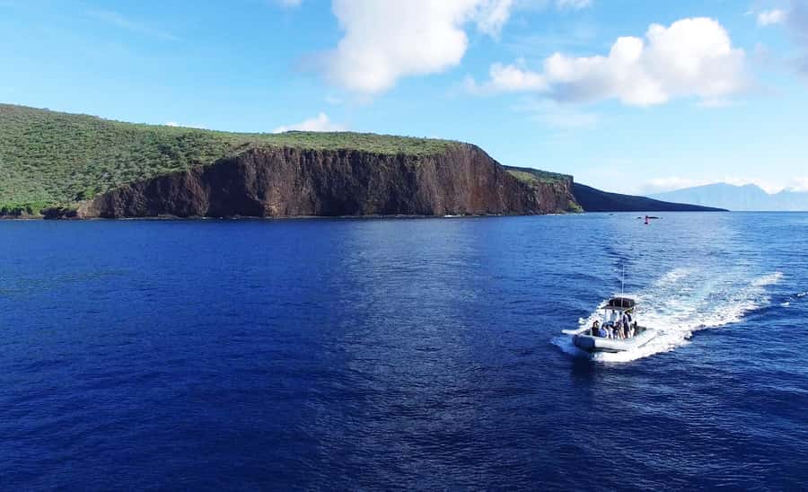 Maui: Semi-Private Eco-Raft Lanai Snorkel & Dolphin Tour - Is $204 a fair price?