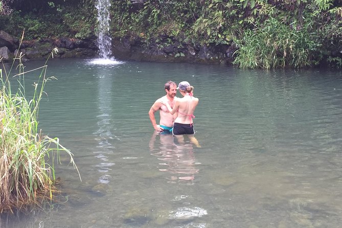 Maui Shore Excursions : Road to Hana With Pickup & Lunch - Wai‘anapanapa is the day’s strongest stop
