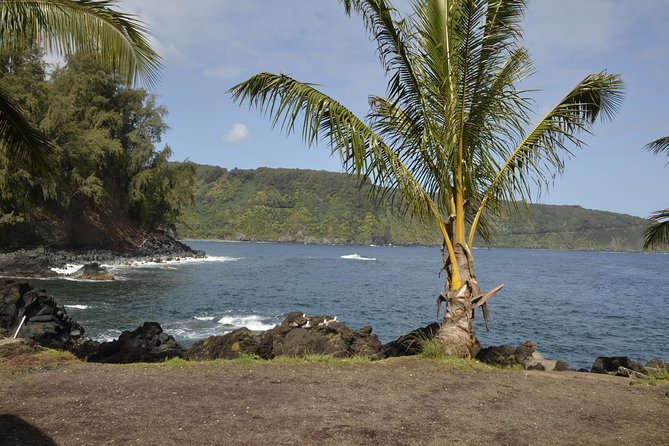 Maui Shore Excursions : Road to Hana With Pickup & Lunch - Hana Farms gives you a taste of local production