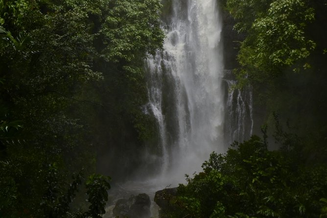 Maui Shore Excursions : Road to Hana With Pickup & Lunch - The return route can add another side of Maui