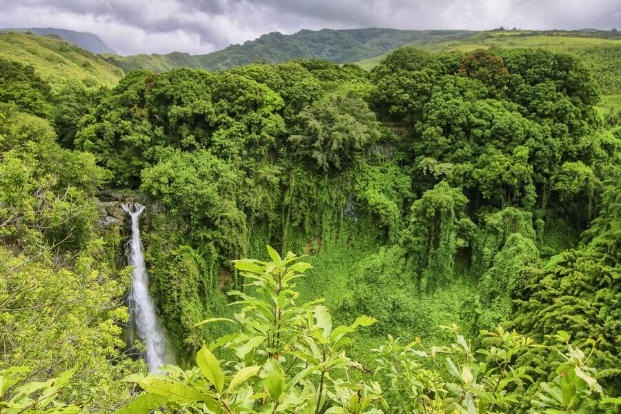 Maui: Small-Group Road to Hāna Sightseeing Tour - Key points at a glance