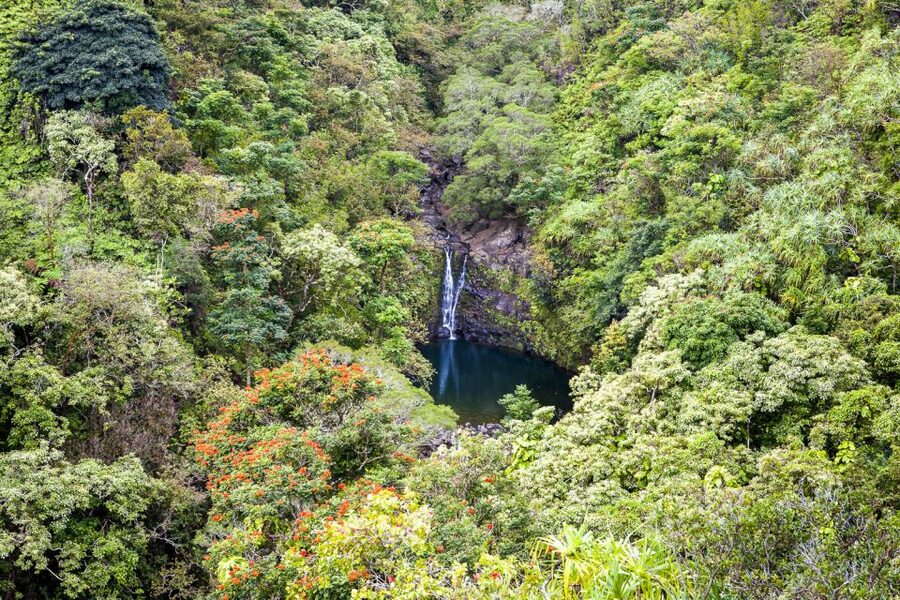Maui: Small-Group Road to Hāna Sightseeing Tour - The lunch is better than a basic tour meal