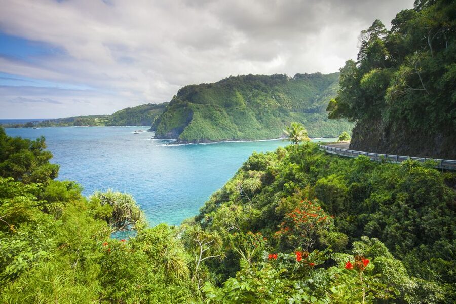 Maui: Small-Group Road to Hāna Sightseeing Tour - What the $250 price buys you