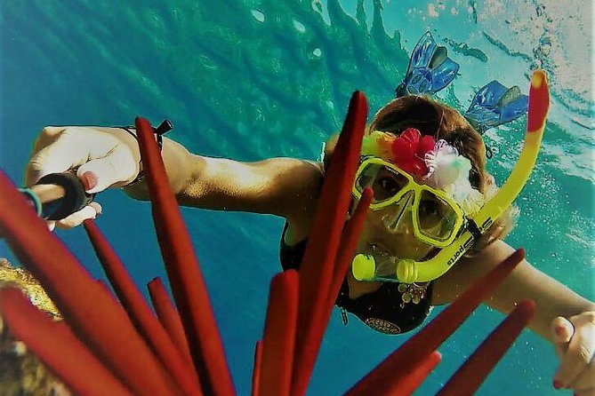 Maui Snorkel Adventure: Molokini Crater and Turtle Cove - Why Molokini Crater makes this four-hour trip worthwhile