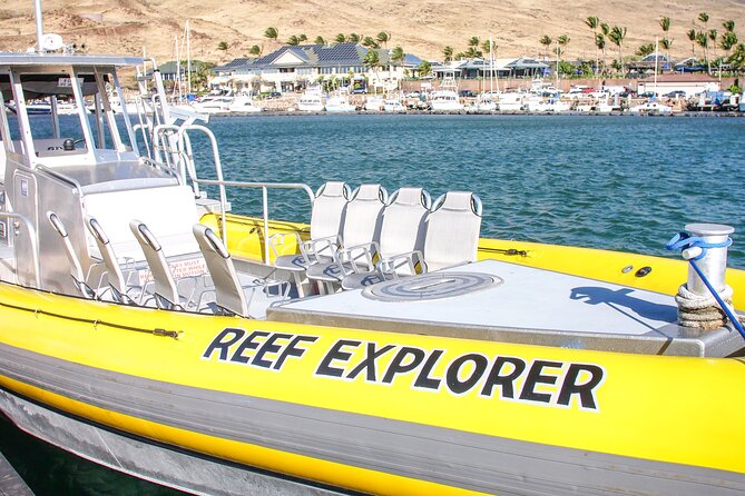Maui Snorkel Adventure: Molokini Crater and Turtle Cove - Lunch, snacks, and a practical break onboard
