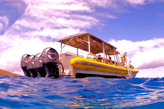 Maui Snorkel Adventure: Molokini Crater and Turtle Cove - First water stop: Molokini’s fish and coral