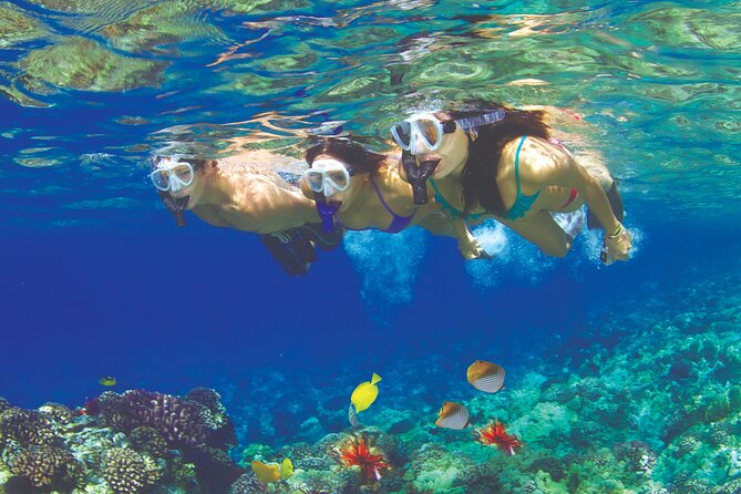 Maui Snorkel and Sunset Sail - Key points to know before booking