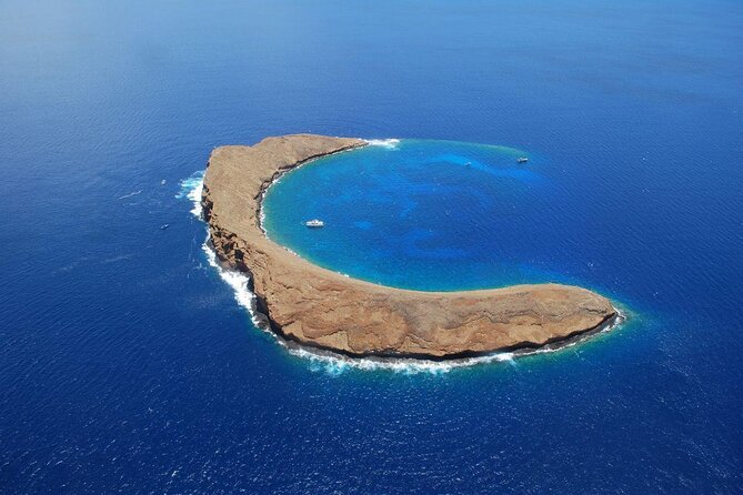 Maui Snorkeling Adventure to Molokini and Turtle Town - Key points before you book