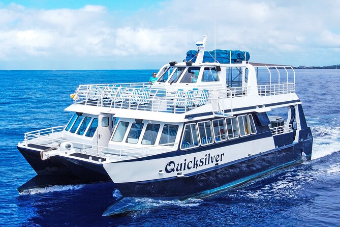 Maui Snorkeling Boat Tour to Turtle Town Aboard Quicksilver - A catamaran day built around more than snorkeling