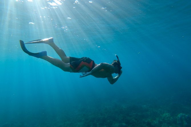 Maui Snorkeling Boat Tour to Turtle Town Aboard Quicksilver - What you actually get for $99.95