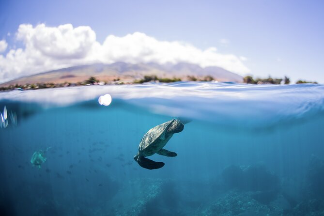 Maui Snorkeling Boat Tour to Turtle Town Aboard Quicksilver - Leaving Ma‘alaea Harbor and settling into the morning