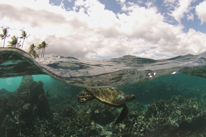 Maui South Coast and Molokini Crater Adventure from Kihei - Molokini Crater with breakfast and clear water