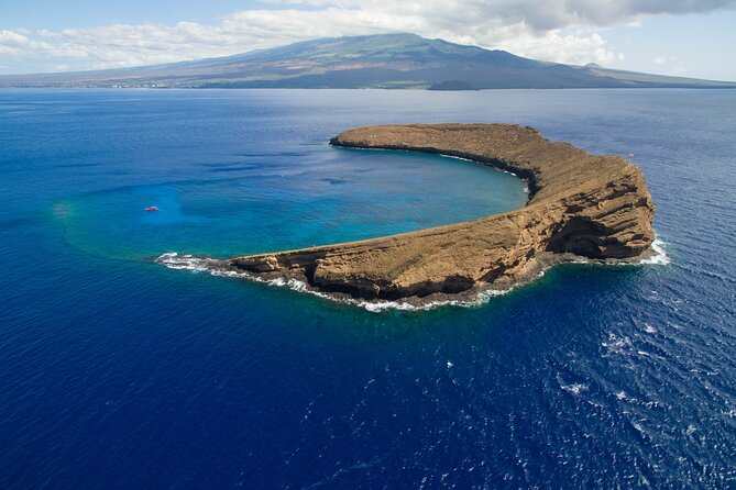 Maui South Coast and Molokini Crater Adventure from Kihei - Turtle Town and Hawaiian green sea turtles