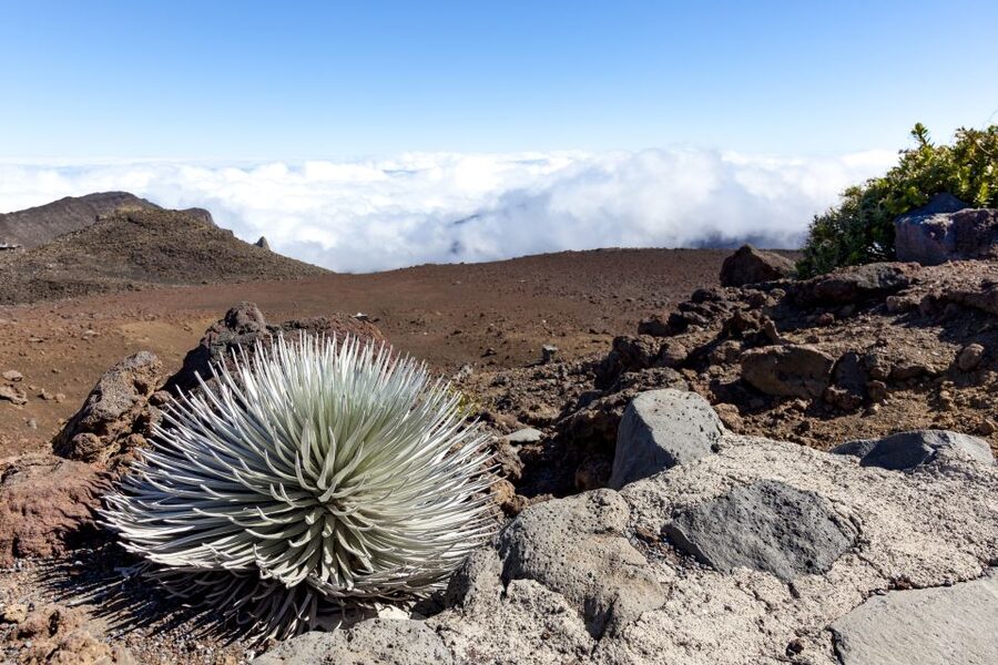 Maui: Sunrise & Breakfast Tour to Haleakala National Park - The summit before sunrise