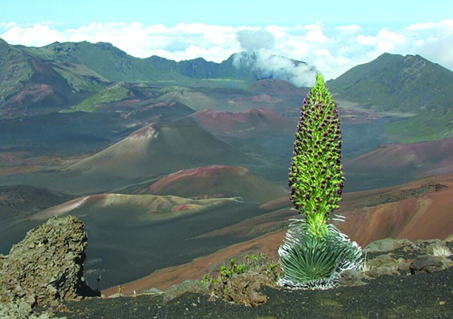 Maui: Sunset & Dinner Tour to Haleakala National Park - What Haleakala means beyond the sunset