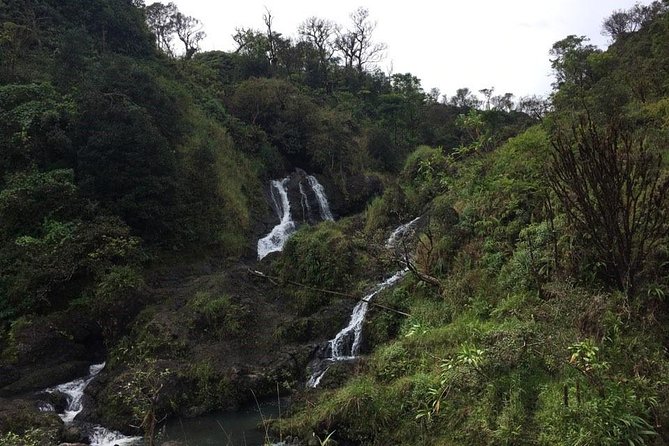 Maui Tour : Road to Hana Day Trip from Kahului Lunch, Water, Chip - Wai‘anapanapa State Park and the black sand coast