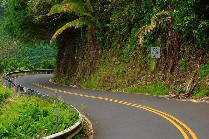 Maui Tour : Road to Hana Day Trip from Kahului Lunch, Water, Chip - Pua‘a Ka‘a and the possible swim