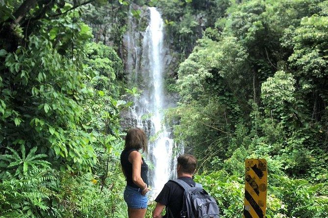 Maui Tour : Road to Hana Day Trip from Kahului Lunch, Water, Chip - What you eat during the day