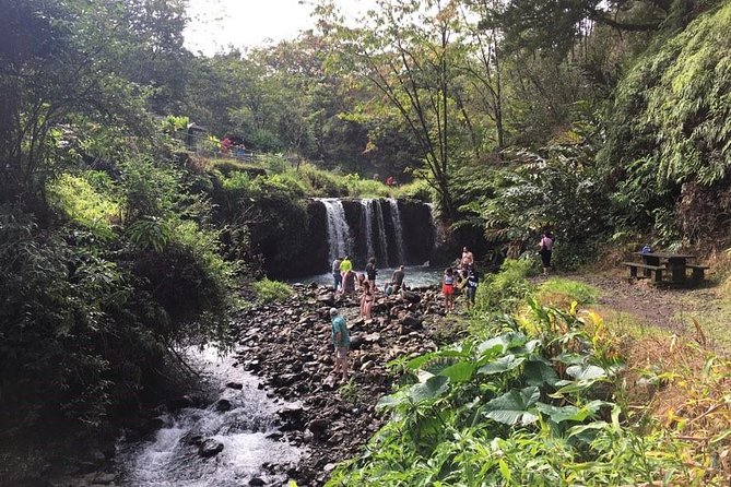 Maui Tour : Road to Hana Day Trip from Lahaina with Pick-up - Why the Road to Hana works well with a guide
