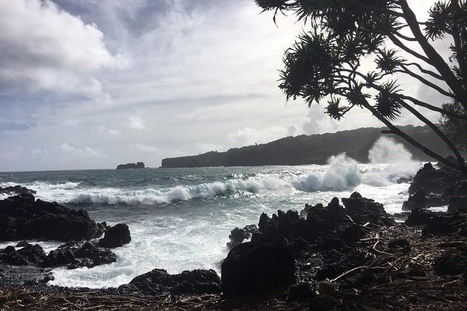 Maui Tour : Road to Hana Day Trip from Lahaina with Pick-up - Bamboo, rainbow eucalyptus, and the first waterfalls
