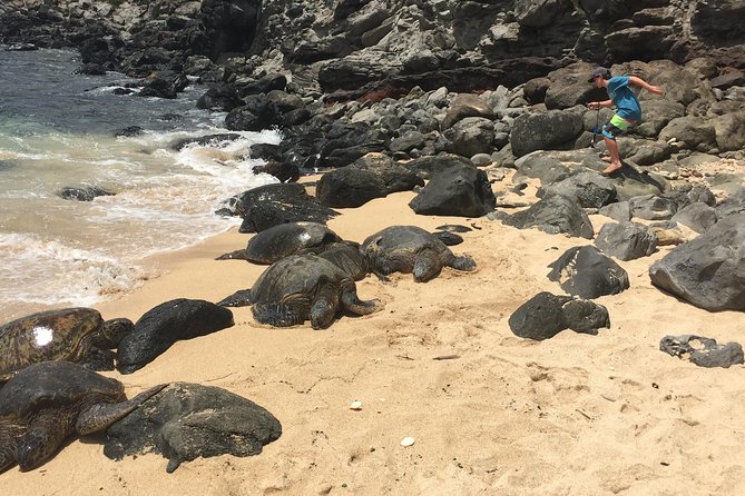 Maui Tour : Road to Hana Day Trip from Lahaina with Pick-up - Ke‘anae Point and traditional taro country